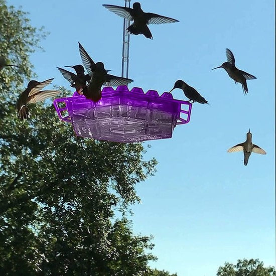 Ant Proof Hummingbird Feeder Outdoor Hanging Perch - Belvarden (3)